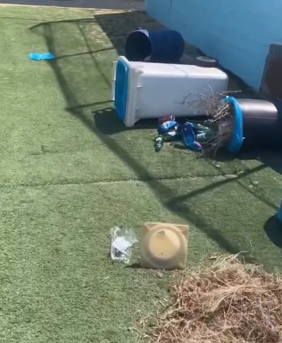 Atti di vandalismo allo stadio Mario Colavolpe