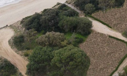 Retroduna del litorale, un milione di euro per il progetto