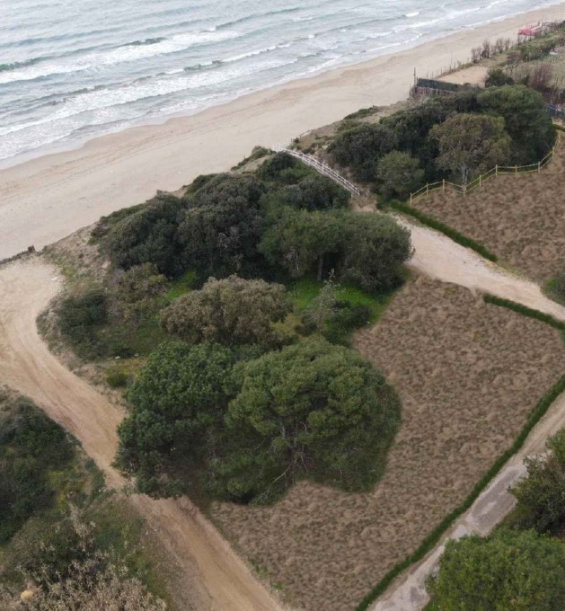 Retroduna del litorale, un milione di euro per il progetto