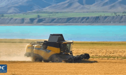 Cina: raccolto dorato lungo il lago Karatokay nello Xinjiang