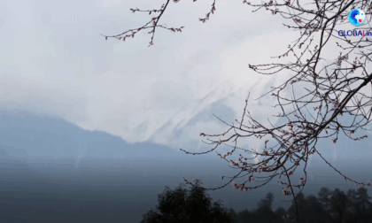 Cina: Xizang, turismo globale prospera nel "villaggio dei fiori di pesco"