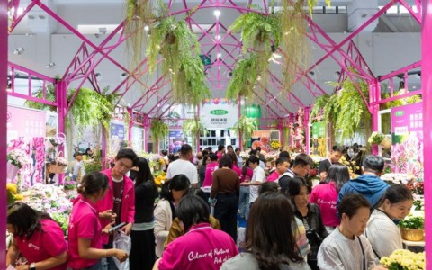 Cina: esposizione floreale di Kunming nello Yunnan