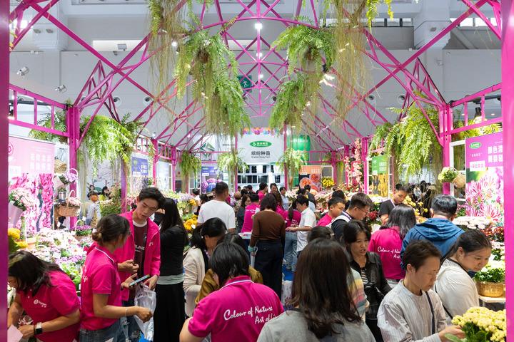 Cina: esposizione floreale di Kunming nello Yunnan