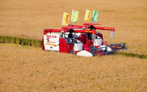 Cina: Heilongjiang, in corso raccolto autunnale (1)