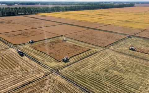 Cina: Heilongjiang, in corso raccolto autunnale (2)