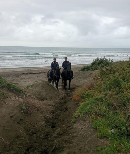 Parco del Circeo, controlli dei carabinieri a cavallo