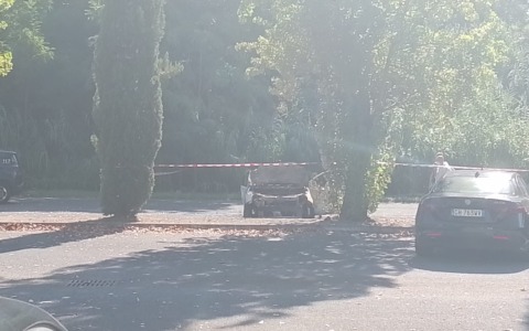 La morte di Francesco Loverso, nessuna archiviazione: “Si indaga in tutte le direzioni”