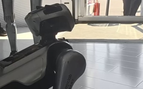 Cina: cane robot sotto i riflettori a Inclusion Conference di Shanghai