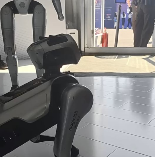 Cina: cane robot sotto i riflettori a Inclusion Conference di Shanghai