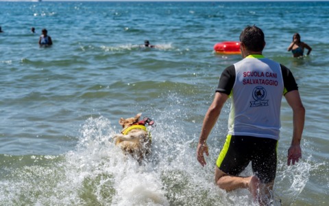 Terracina, NOS e Unità Cinofile al Lago di Bracciano per delle simulazioni