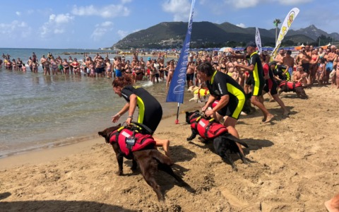 L’estate dei cani da salvataggio. Simulazioni nel litorale terracinese
