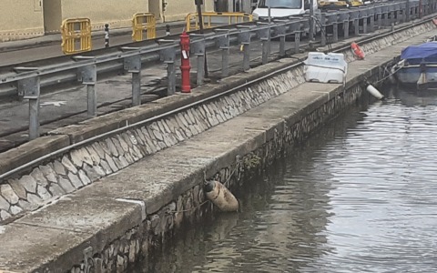 Cedimento della banchina, limitazioni alla viabilità in via Lungolinea Pio VI