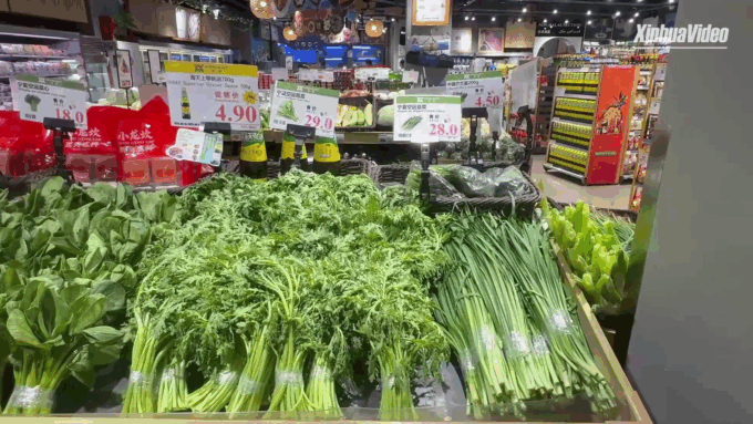 Cina: ortaggi speciali del Ningxia trovano mercato promettente in EAU