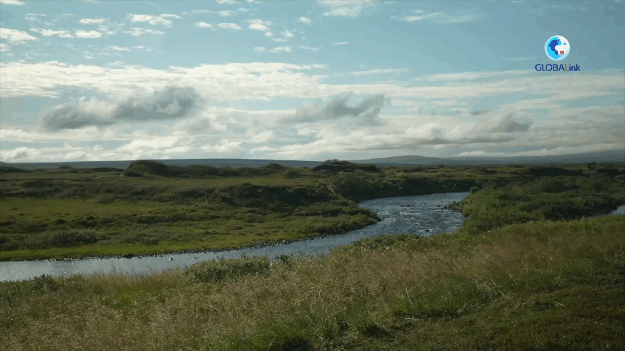 Norvegia: tecnologia IA cinese tutela salmone dell’Atlantico a rischio a nord