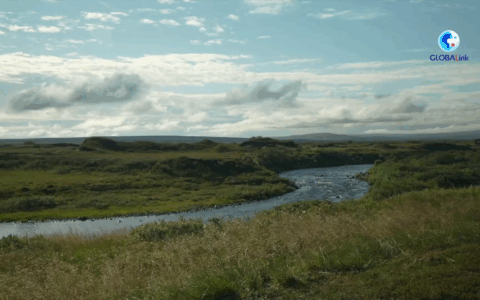 Norvegia: tecnologia IA cinese tutela salmone dell’Atlantico a rischio a nord