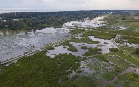 Cina: Parco nazionale delle zone umide di Haiwei a Hainan (1)