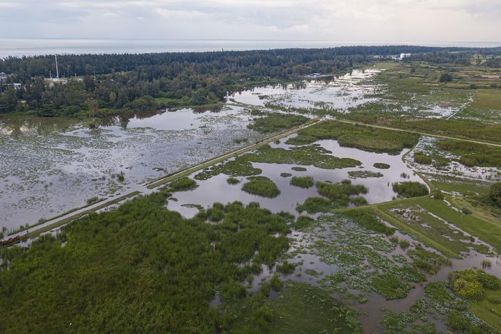 Cina: Parco nazionale delle zone umide di Haiwei a Hainan (1)