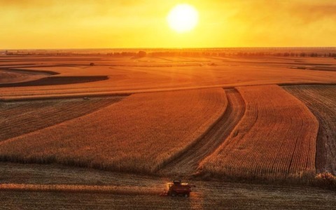 Cina: prosegue la raccolta autunnale di cereali nello Heilongjiang (1)