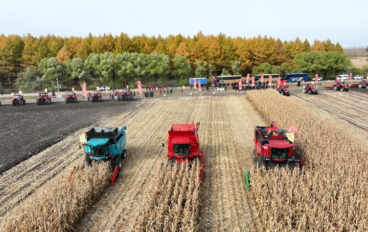 Cina: accelera sforzi per garantire raccolto di cereali autunnali