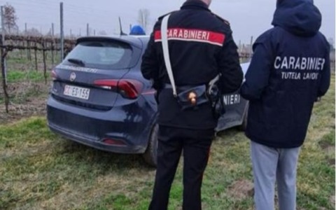 Sicurezza sul lavoro, al segnalazione dei Carabinieri ad AGEA per la revoca dei finanziamenti