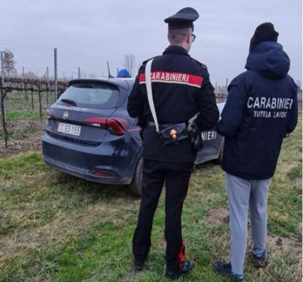 Sicurezza sul lavoro, la segnalazione dei Carabinieri ad AGEA per la revoca dei finanziamenti