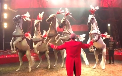 La magia del Circo Rolando Orfei, premiati l’editore Sciscione e il sindaco Cianfrocca