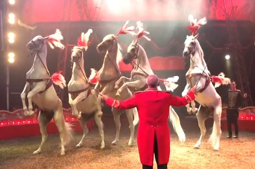 La magia del Circo Rolando Orfei, premiati l’editore Sciscione e il sindaco Cianfrocca