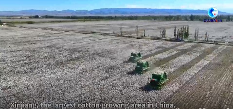 Cina: meccanizzazione avanzata guida la raccolta del cotone nello Xinj
