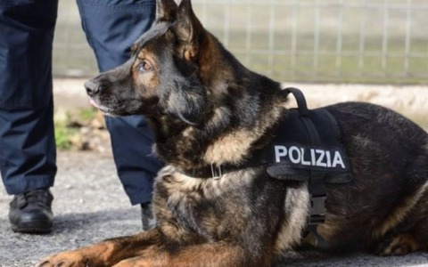 Spaccio di droga a scuola, al via il progetto “Scuole Sicure”