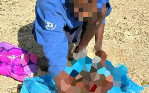 Extracomunitario uccide e seziona un cane. Brambilla: “Raccapricciante”