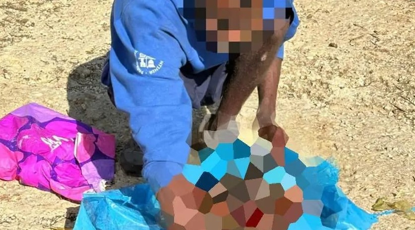 Extracomunitario uccide e seziona un cane. Brambilla: “Raccapricciante”