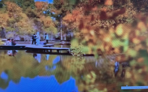 Cina: foreste desertiche di pioppo dell’Eufrate entrano nella stagione di massimo splendore