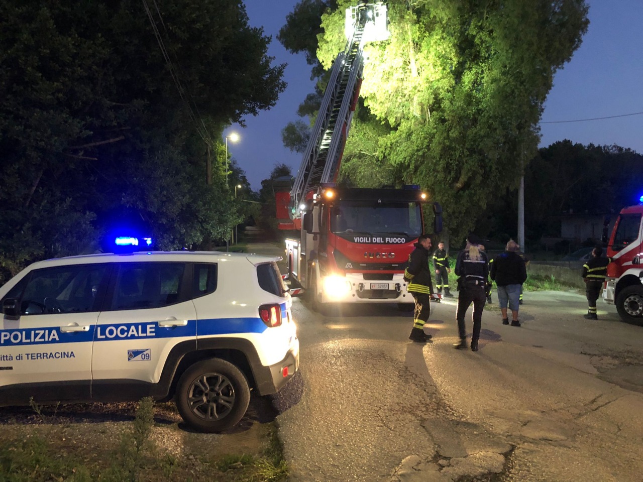 Borgo Hermada. Cade albero di eucalipto. Circolazione interrotta