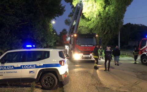 Borgo Hermada. Cade albero di eucalipto. Circolazione interrotta