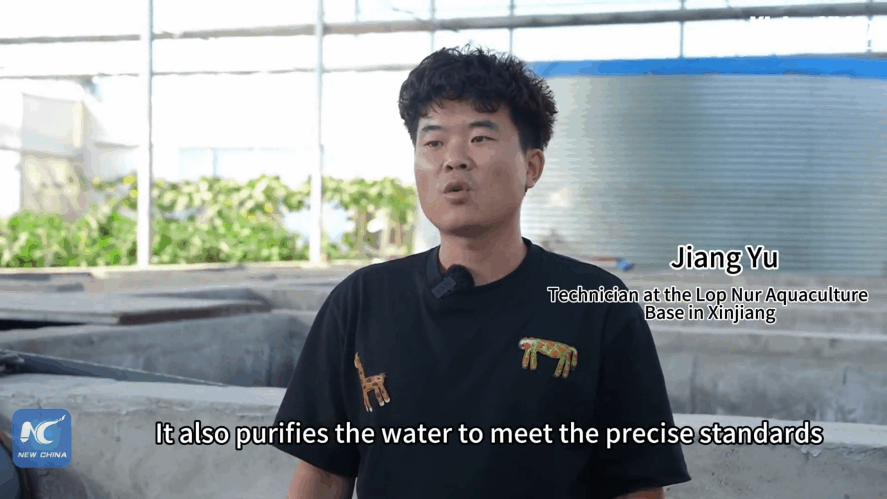 Cina: +30.000 branzini pronti per la vendita ai margini del Taklimakan