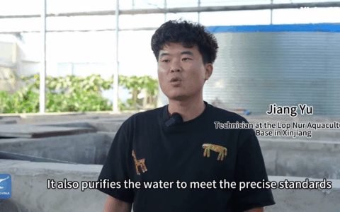 Cina: +30.000 branzini pronti per la vendita ai margini del Taklimakan