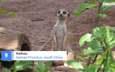 Cina: Hainan,nuovi residenti internazionali si uniscono al parco naturale