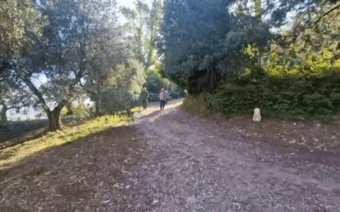 Via Francigena, le iniziative di Aprocis