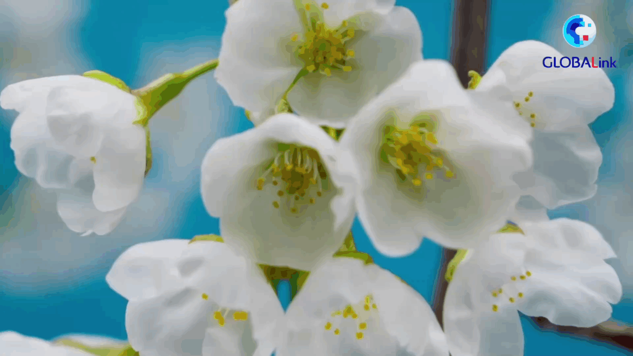 Argentina: osservatori colpiti da sviluppo femminile in Cina