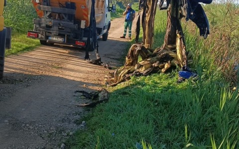 Canali e sponde come discariche, l’opera di rimozione dei rifiuti