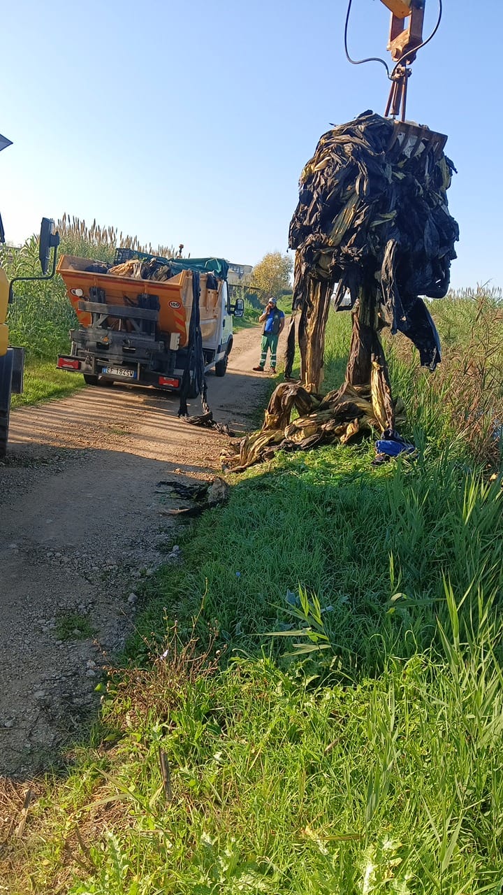 Canali e sponde come discariche, l’opera di rimozione dei rifiuti