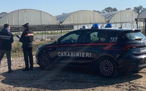Caporalato, i controlli dei Carabinieri. Denunciato il titolare di un’azienda agricola
