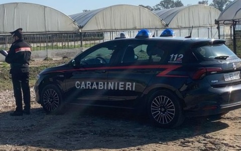 Caporalato, i controlli dei Carabinieri. Denunciato il titolare di un’azienda agricola