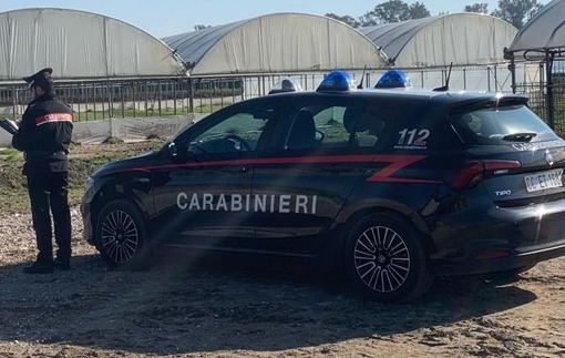 Caporalato, i controlli dei Carabinieri. Denunciato il titolare di un’azienda agricola