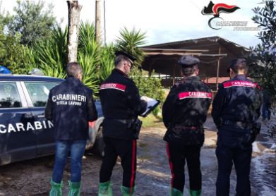 Irregolarità gravi in un’azienda agricola: attività sospesa dopo i controlli