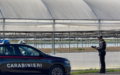 Operaio cade dalla scala mentre effettua lavori di manutenzione