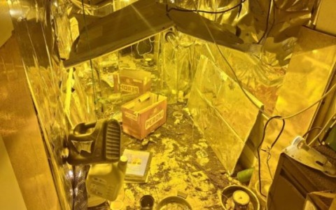 Coltivazione di marijuana in serra: arrestato un 63enne