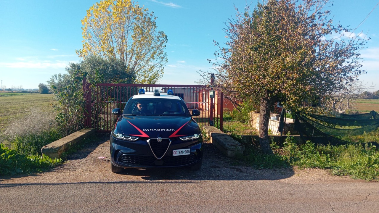 Indiano ucciso e abbandonato in strada, arrestato un connazionale