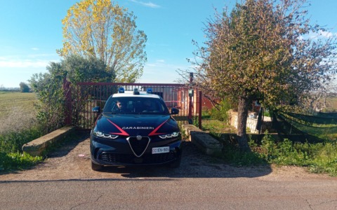 Indiano ucciso e abbandonato in strada, arrestato un connazionale