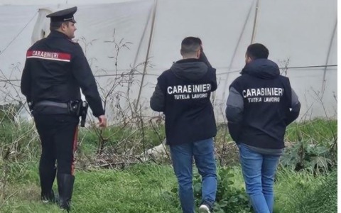 Ispezione dei carabinieri del Nas in un’azienda agricola, attività sospesa